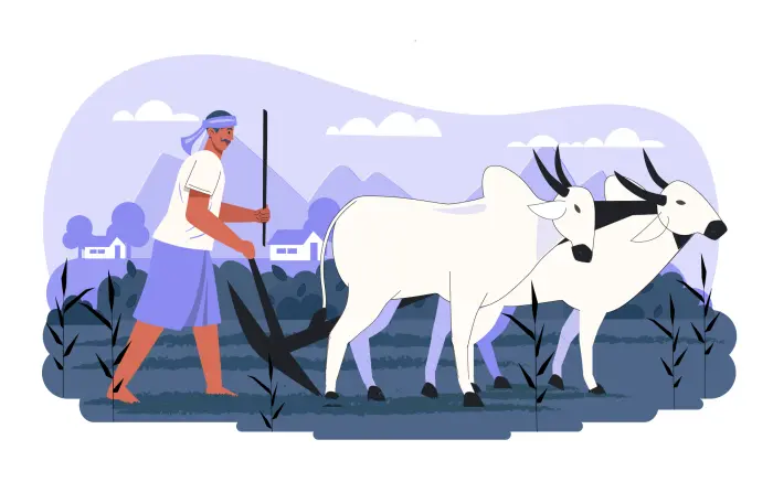 Farmer Plowing Farmland with the Help of Bullocks Vector Illustration image